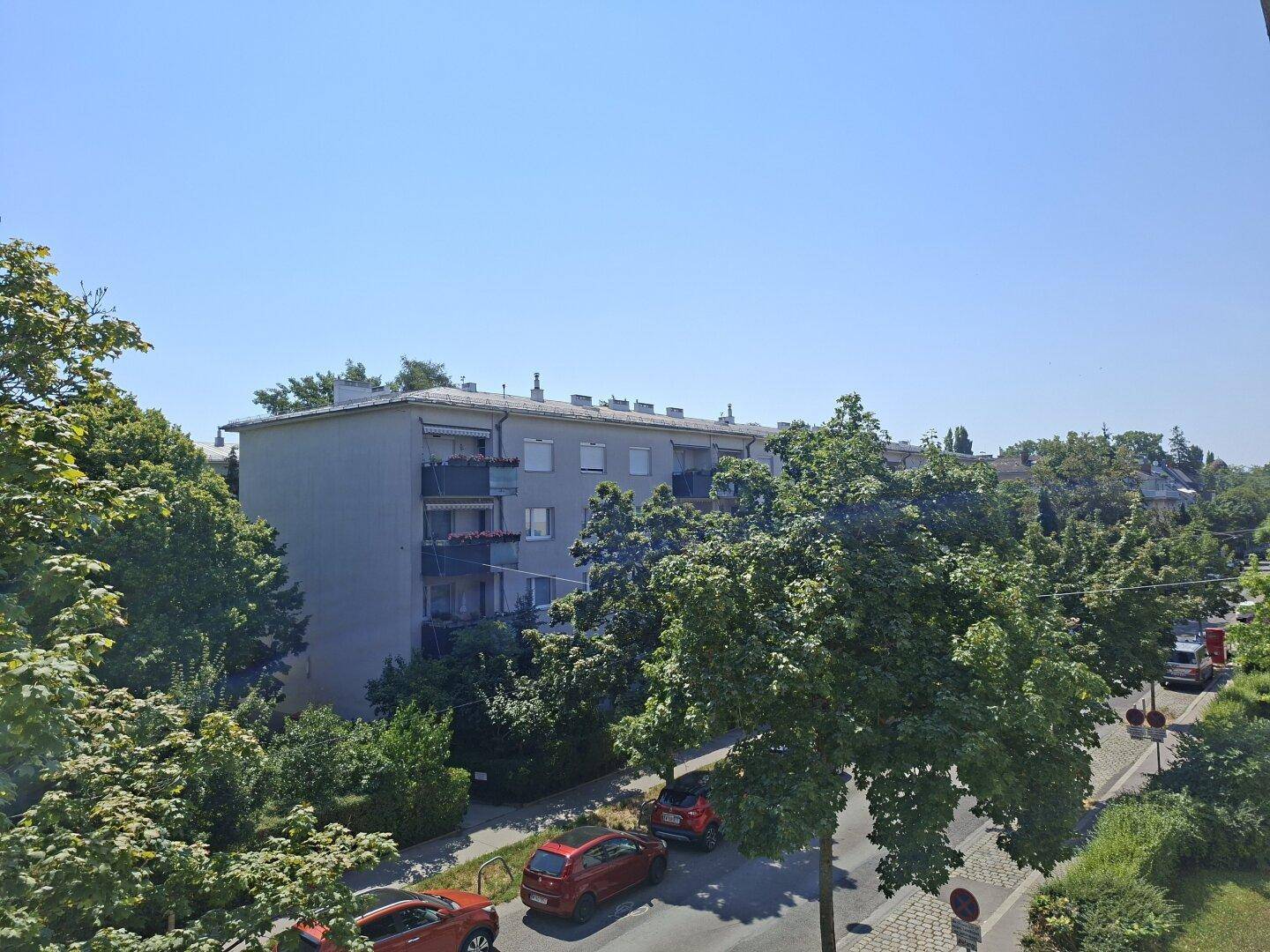 Panoramablick auf die Wohngegend mit Bäumen, Straße und Mehrfamilienhaus.