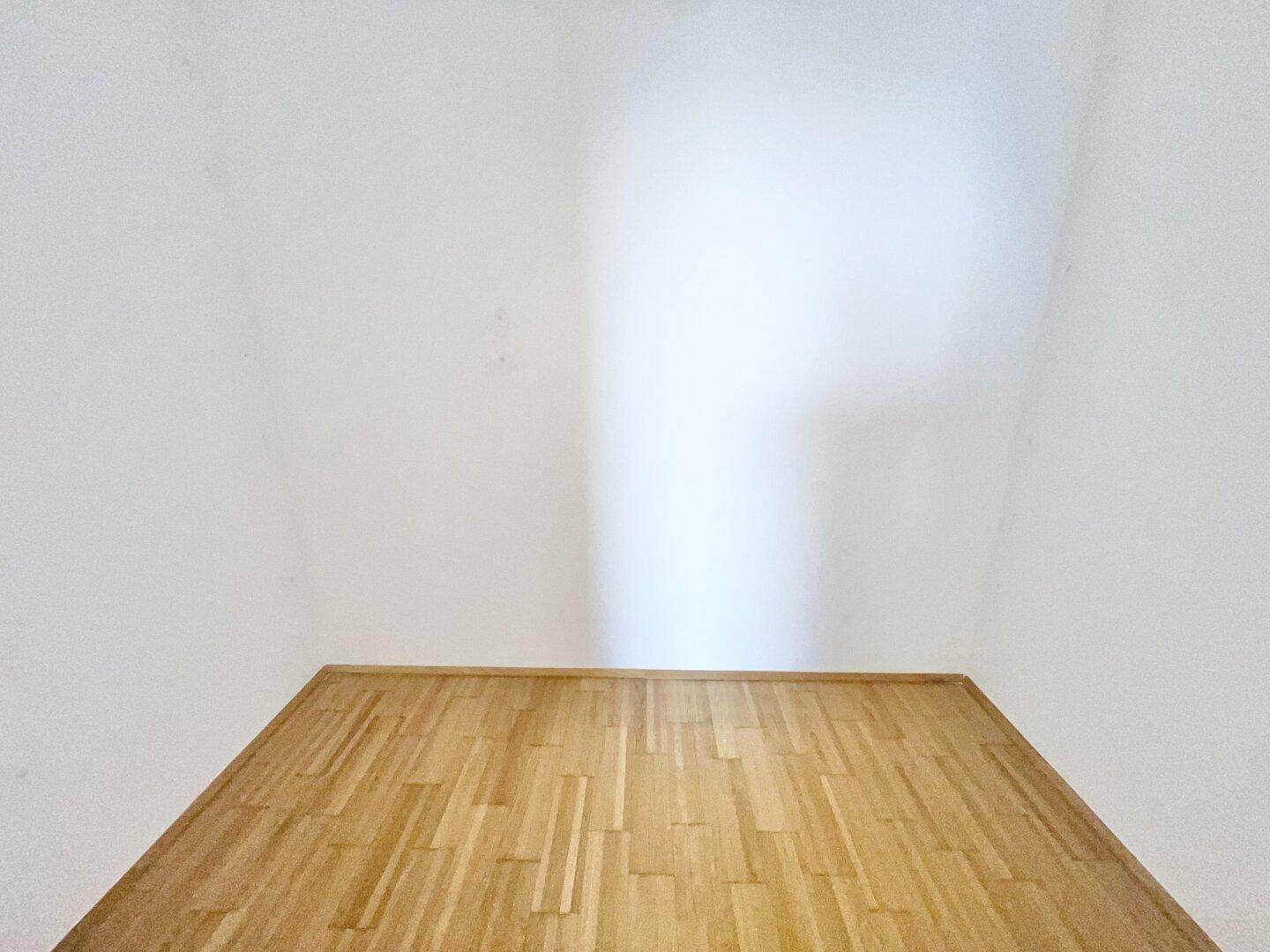 Kleiner, heller Raum mit Parkettboden, ideal als Abstellraum oder begehbarer Kleiderschrank nutzbar.