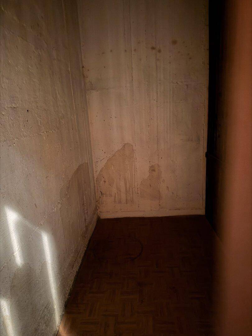 Leerer Kellerraum mit Betonwänden, dunklem Parkettboden und sichtbaren Feuchtigkeitsspuren.