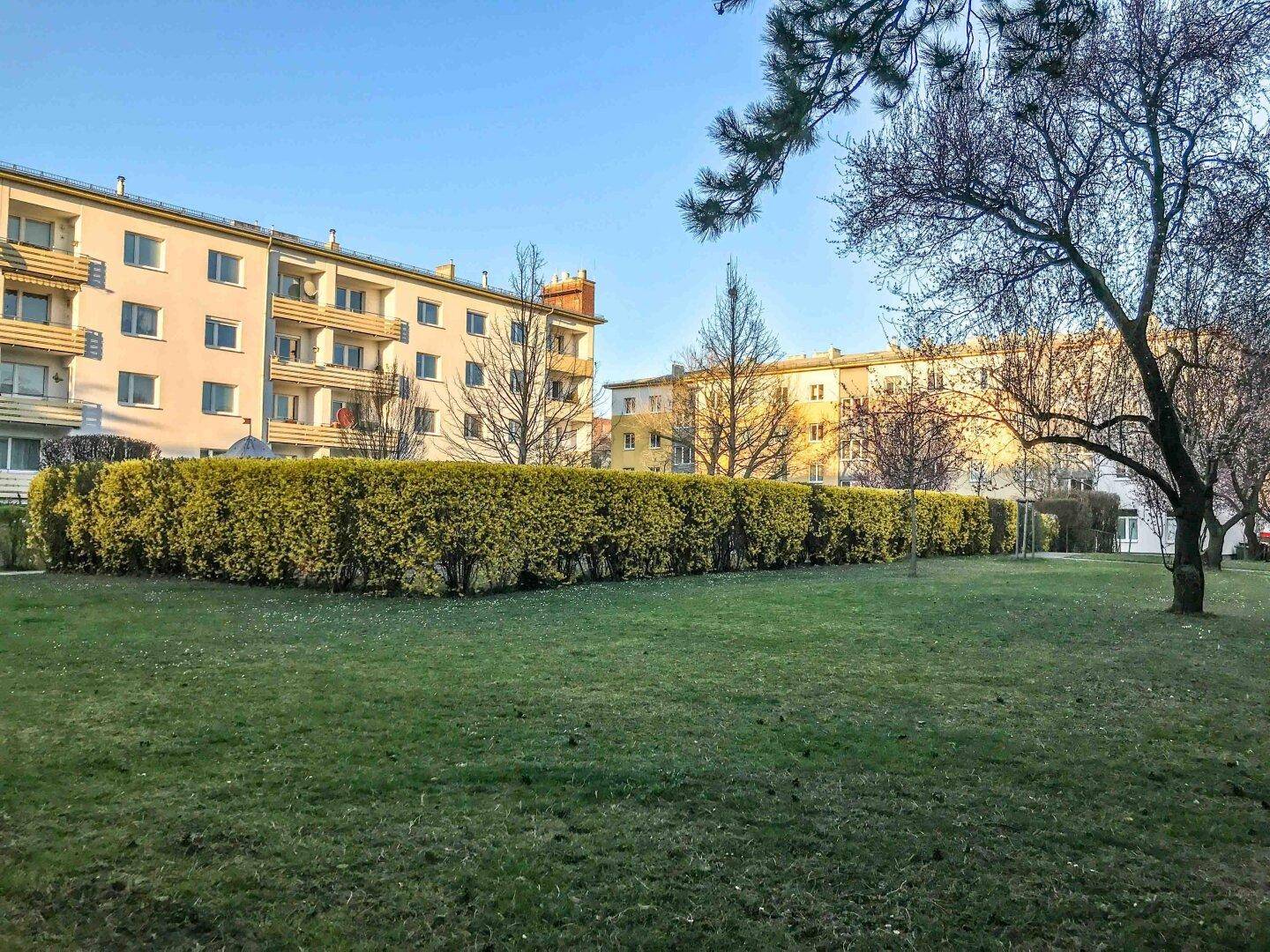 Weitläufige Grünfläche mit einer gepflegten Hecke und Wohngebäuden im Hintergrund unter blauem Himmel.