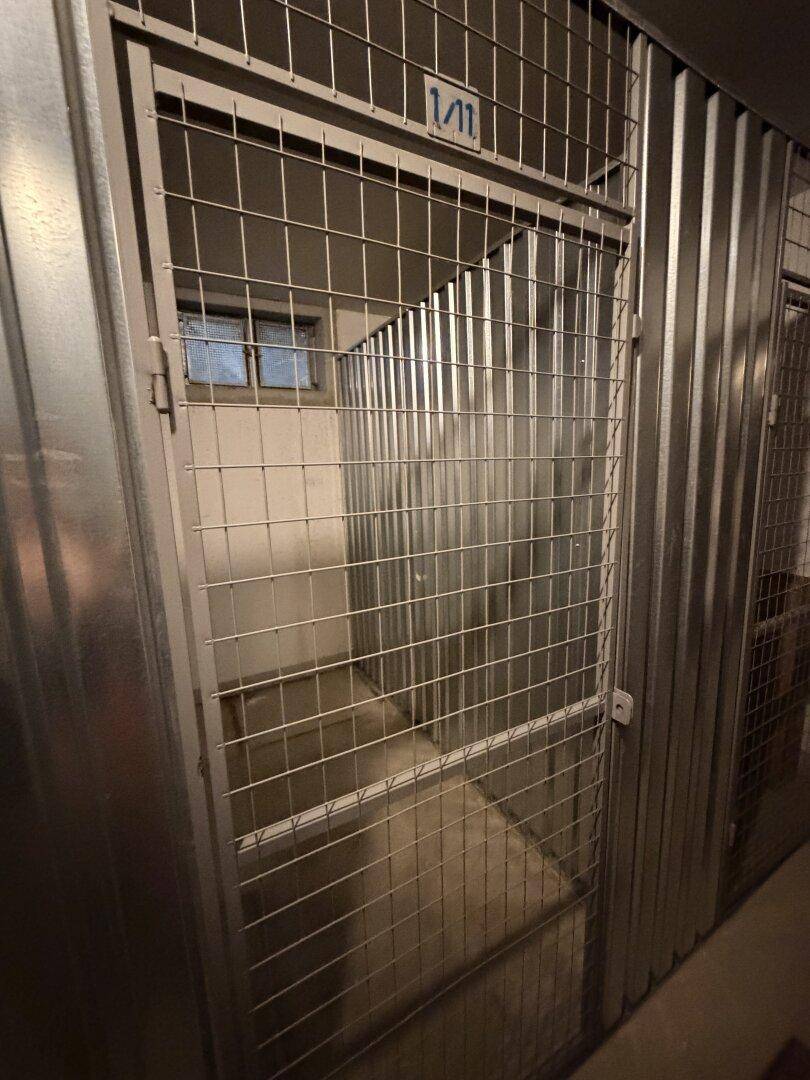 Praktischer Abstellraum im Keller mit robusten Metallgittern und einem kleinen Fenster.