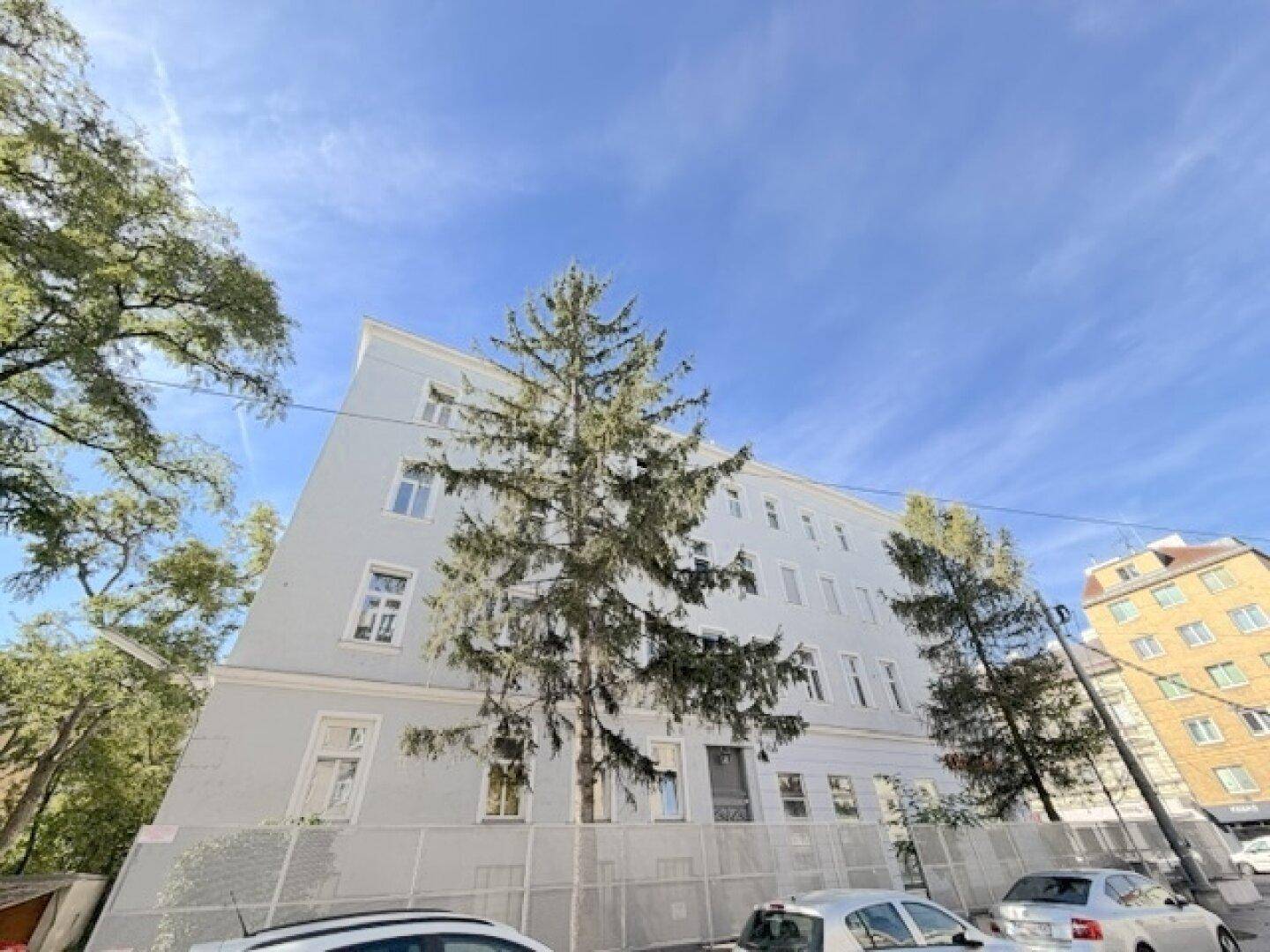 Altbau-Fassade mit vielen Fenstern und hohen Bäumen davor unter blauem Himmel.