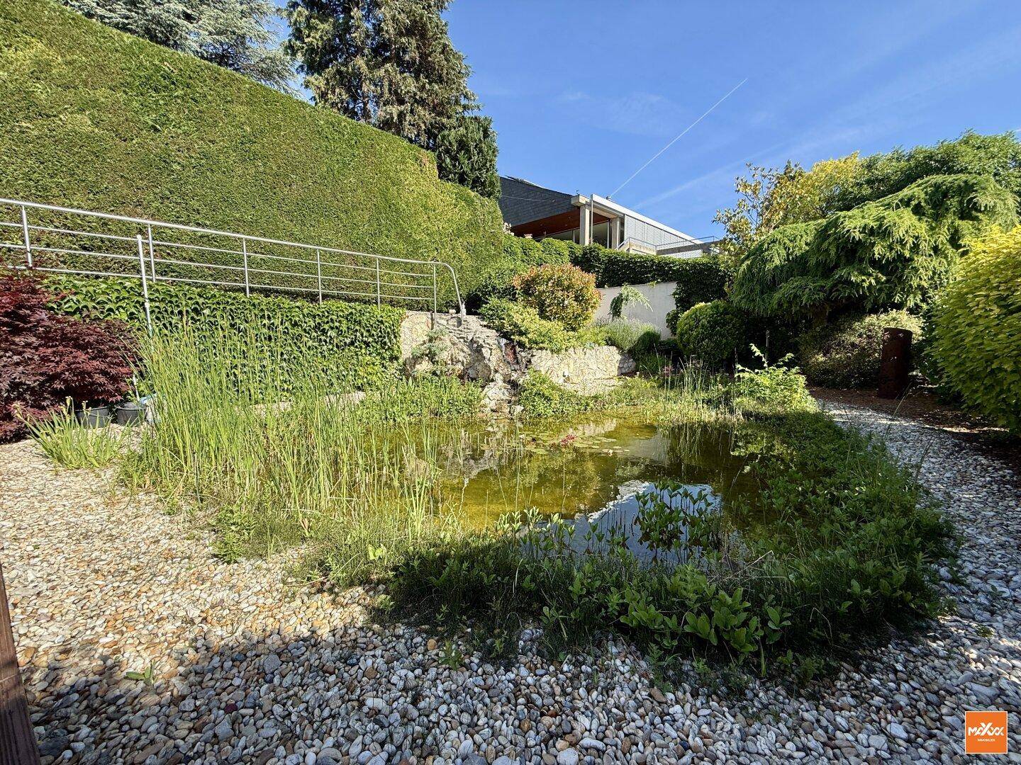 Natürlicher Gartenteich umgeben von Kies und üppiger Vegetation, mit einer Hecke im Hintergrund.