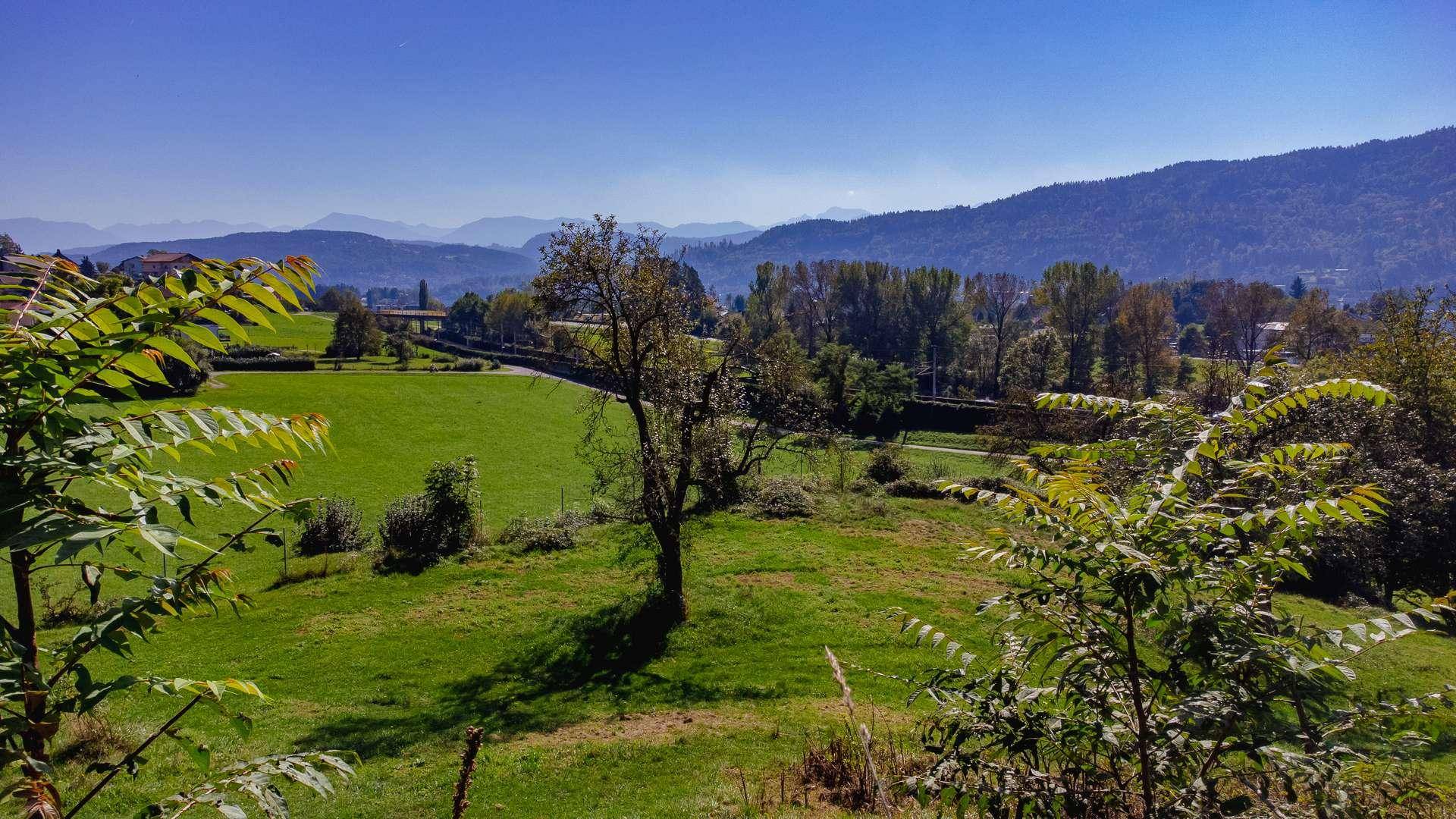 DJI_0674