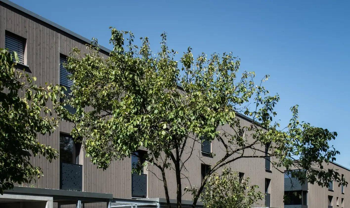 Detailansicht einer modernen Gebäudefassade mit Holzverkleidung und großen Fenstern unter blauem Himmel.