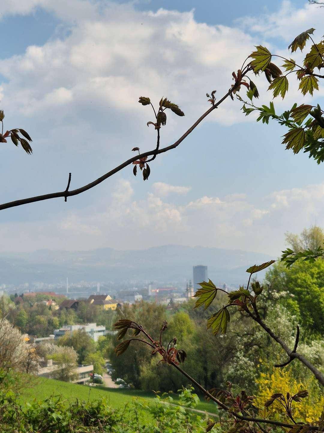 Panoramablick über eine grüne Hügellandschaft mit einer Stadt und Bergen im Hintergrund.
