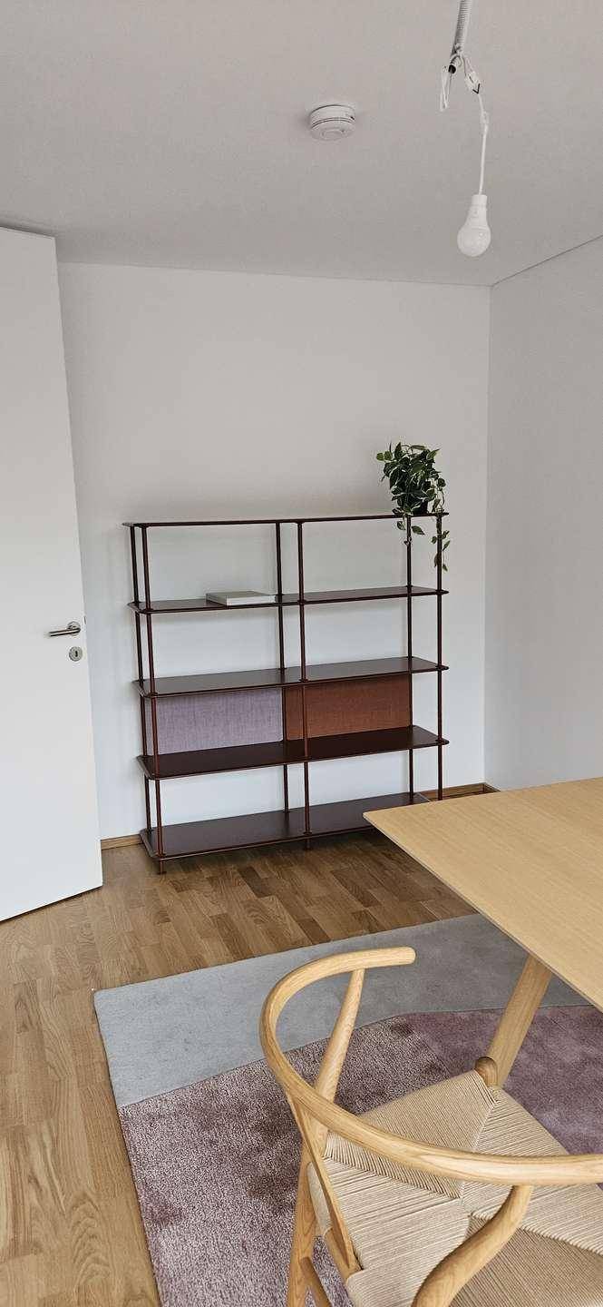 Heller Innenraum mit Holzfußboden, einem modernen Regal und einer Zimmerpflanze.