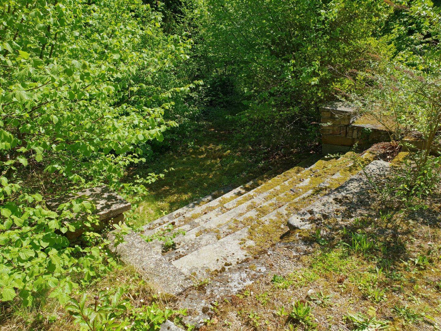 Moosbewachsene Steintreppe führt hinab in einen dicht bewachsenen Gartenbereich.