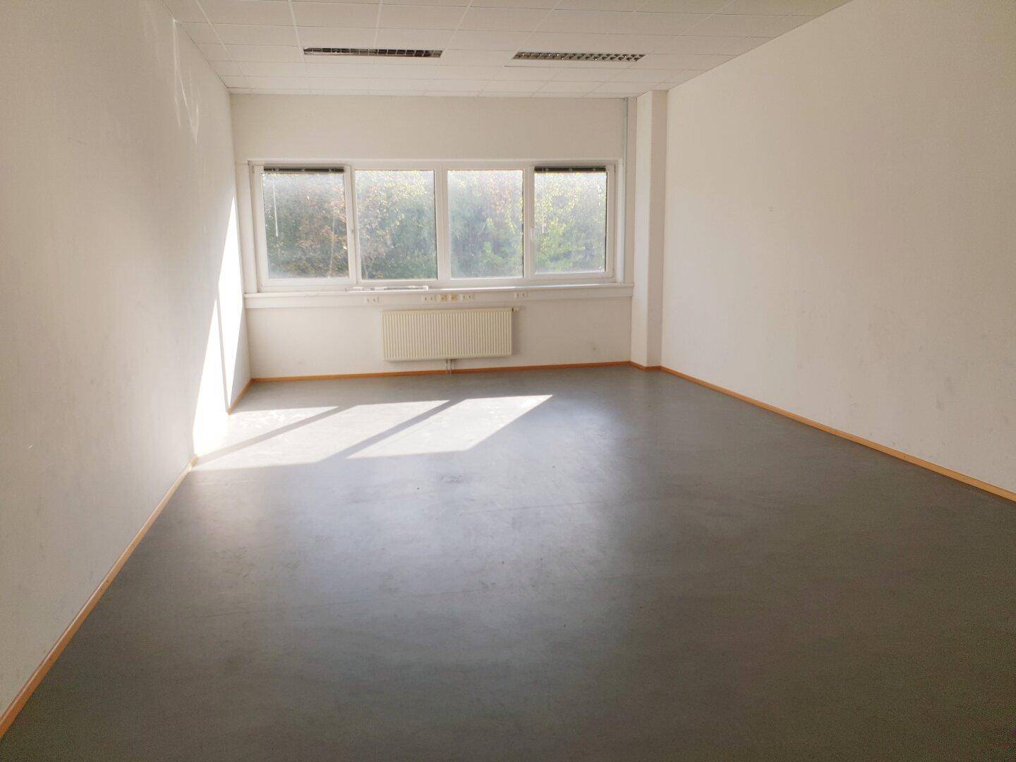 Firmensitz / Büro / Verein / oder Ordinations - Fläche zu vermieten! - Ansicht 2