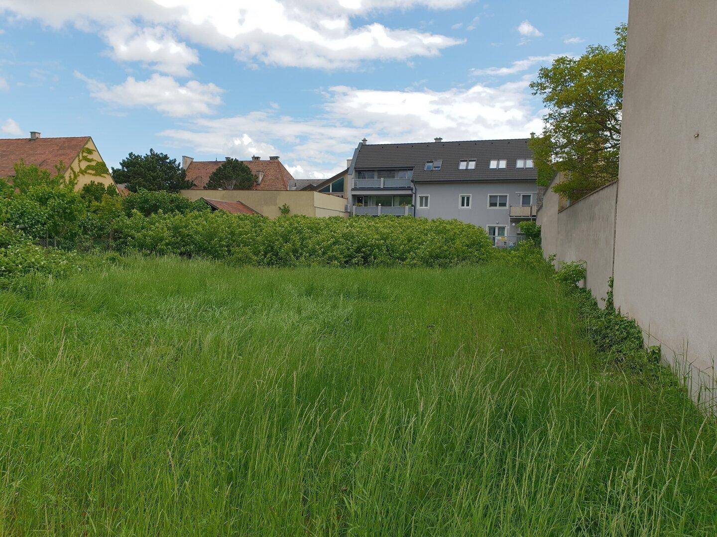 Grüne Wiese mit hohem Gras und umliegenden Wohngebäuden unter einem bewölkten Himmel.
