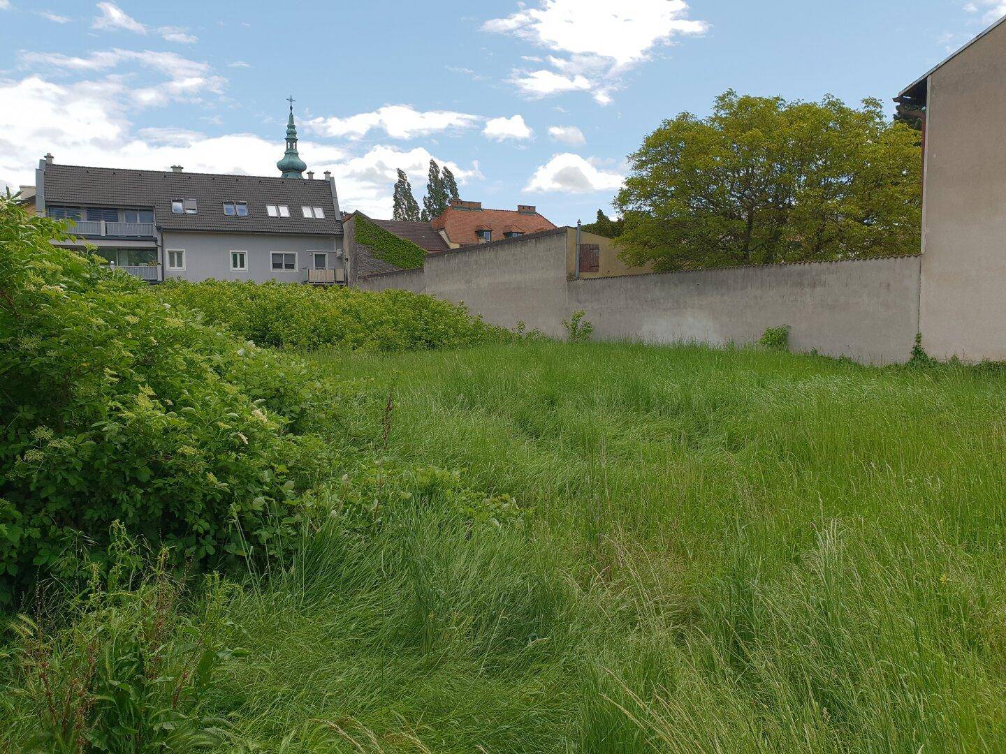 Weitläufige grüne Wiese mit Blick auf umliegende Häuser und einen markanten Kirchturm.