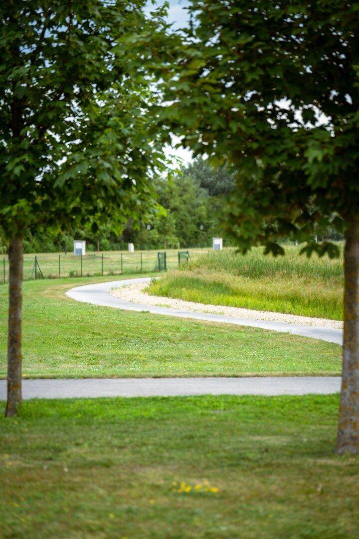 Geschwungener Weg durch eine grüne Wiese, gesäumt von Bäumen und Büschen in einer ländlichen Landschaft.