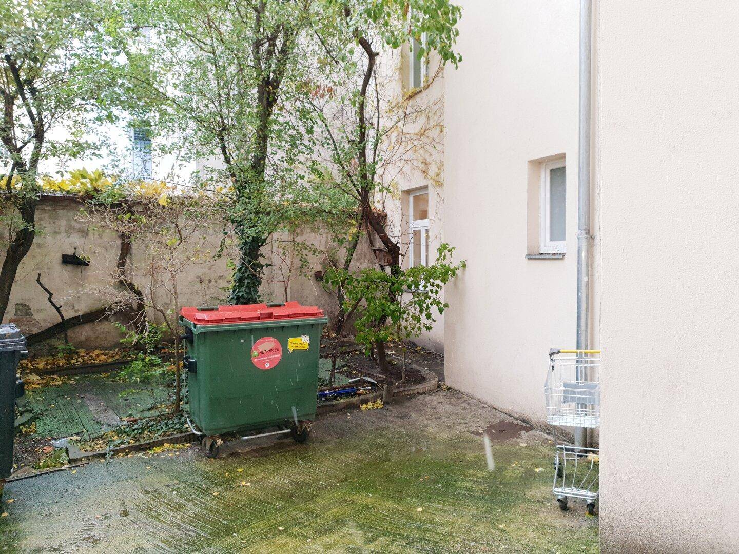 Hinterhofbereich mit Bäumen, Müllcontainern und einem Einkaufswagen.
