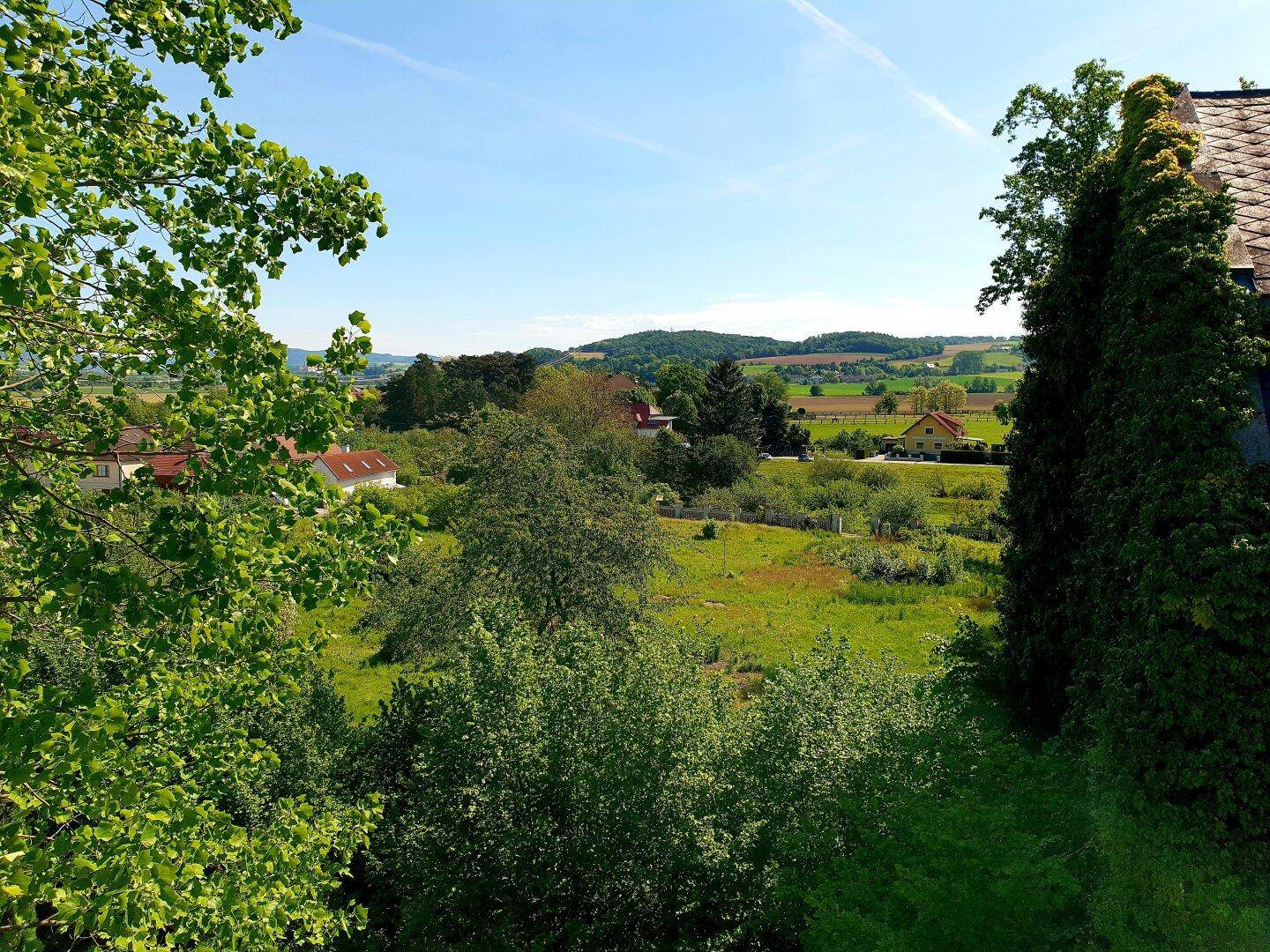 Weitläufiger Blick über grüne Hügel, Felder und vereinzelte Häuser in ländlicher Umgebung.