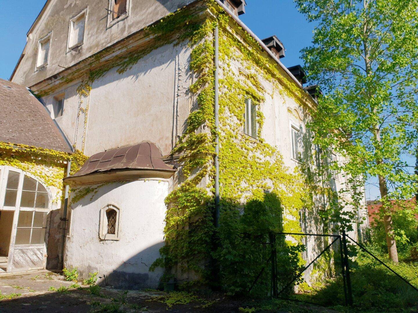 Alte Gebäudefassade mit Efeubewuchs und einem kleinen Anbau mit Rundbogenfenster.
