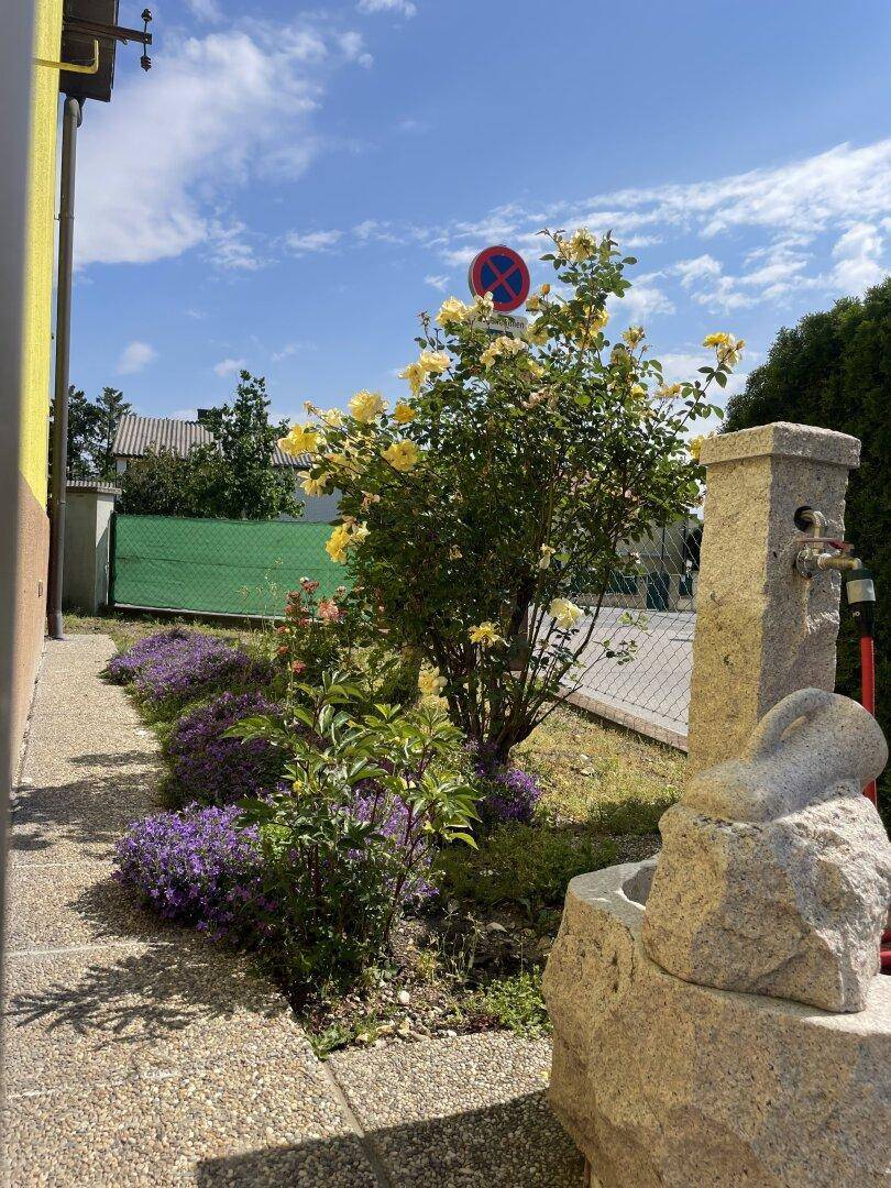 Blühende Pflanzen und ein dekorativer Steinbrunnen neben der Hauswand unter blauem Himmel.