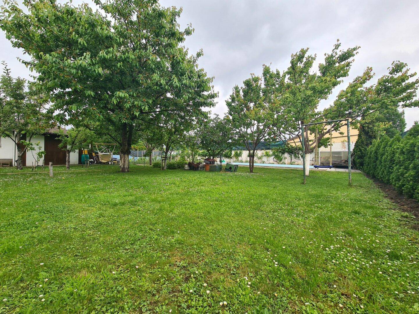 Weitläufiger Gartenbereich mit großen Rasenflächen, vielen Bäumen und einem sichtbaren Pool im Hintergrund.