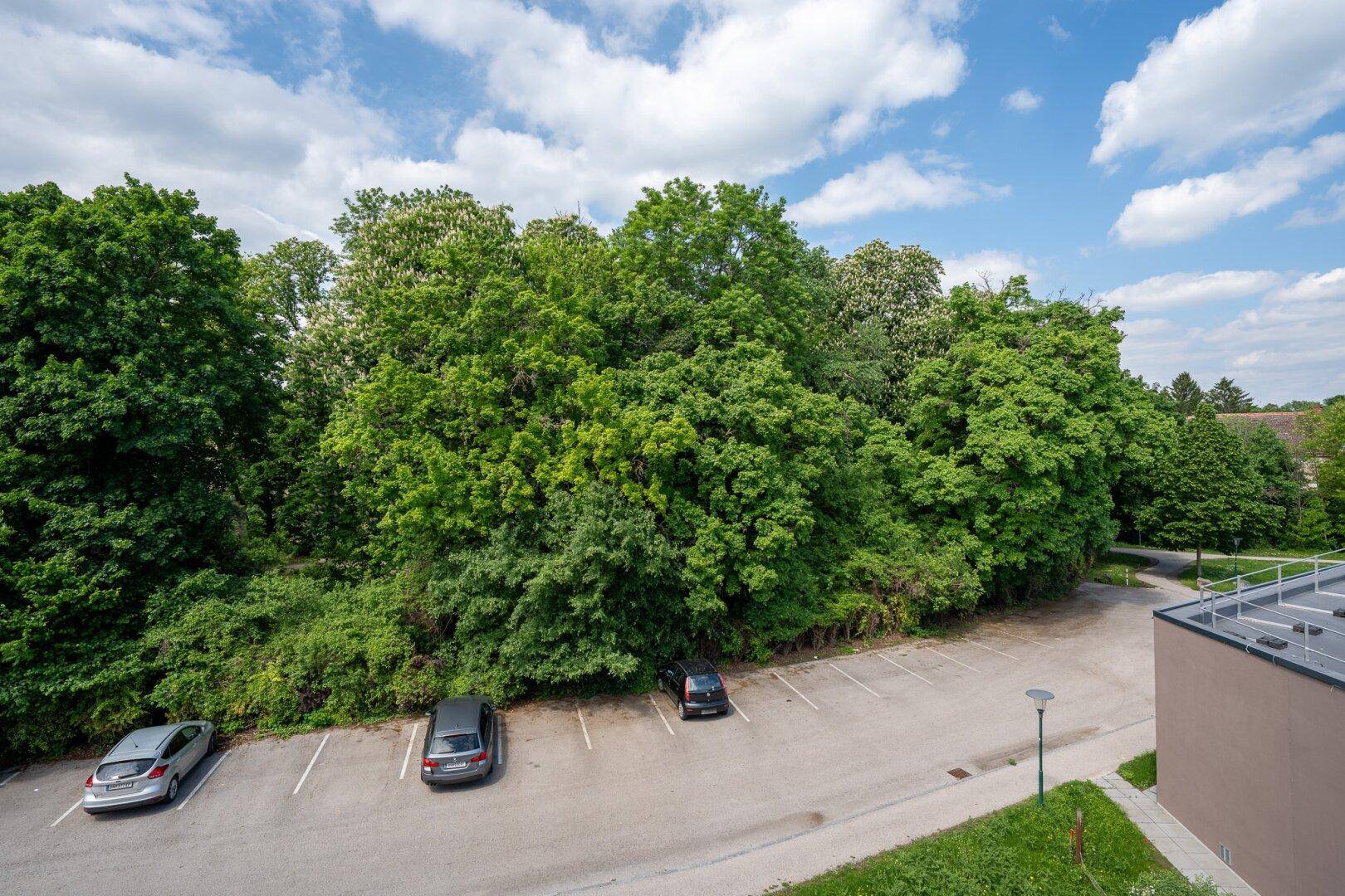 Außenansicht mit Parkplätzen und üppiger grüner Vegetation unter blauem Himmel.