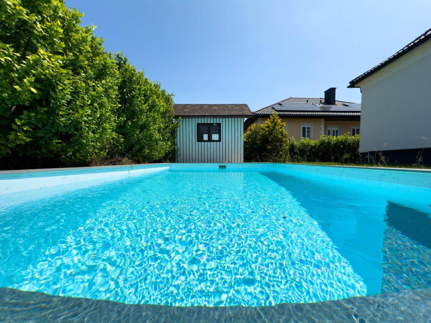 Blauer Swimmingpool im Garten, umgeben von hohen Hecken und einem kleinen Gartenhaus.