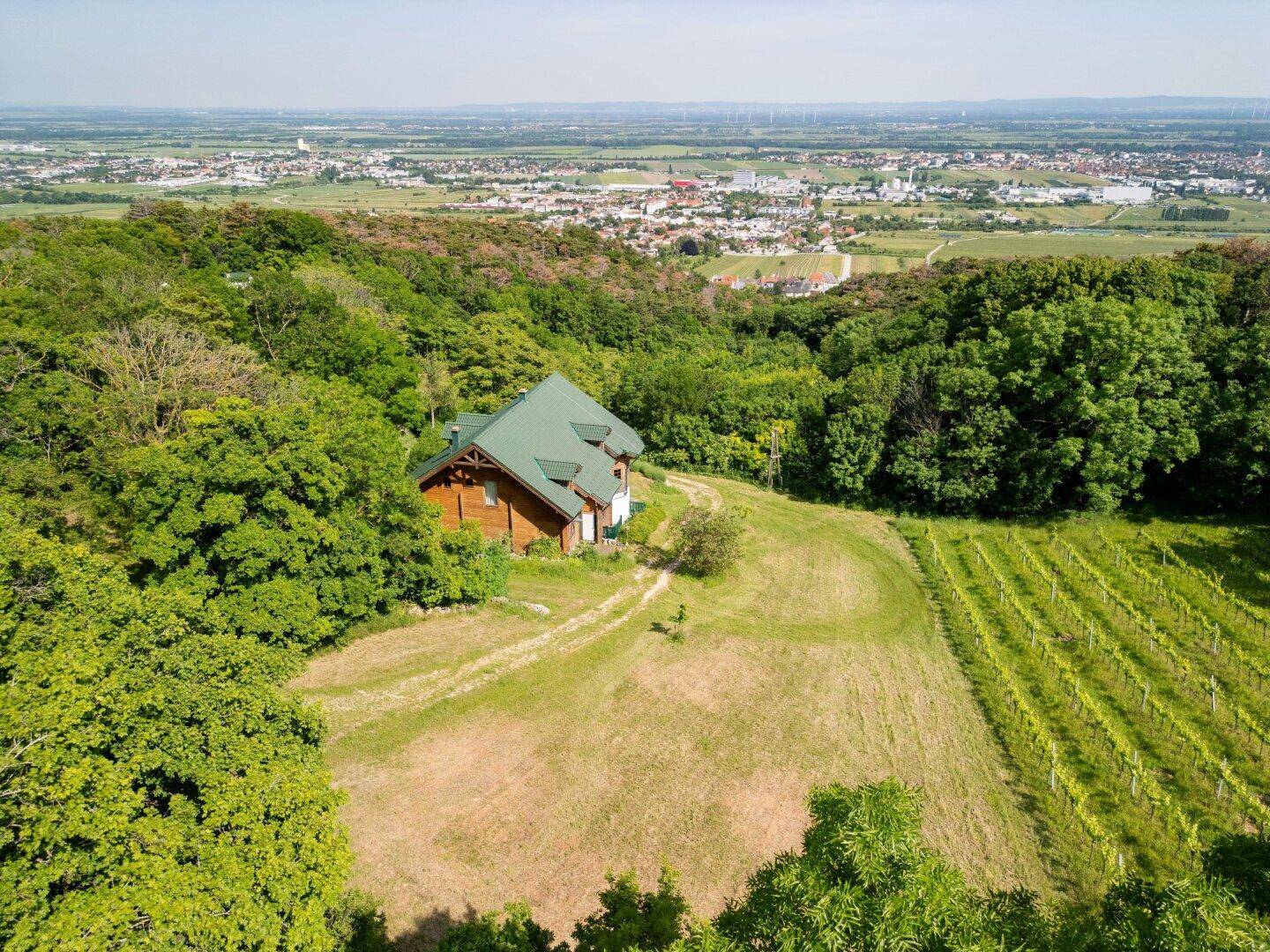 Idyllisches Holzhaus in Hanglage, umgeben von Weinbergen und Wäldern mit weitem Blick über die Landschaft.