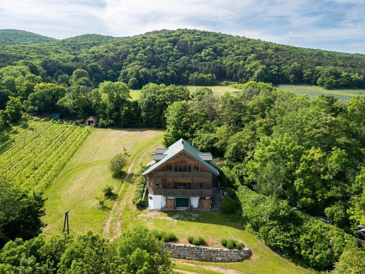 Weitläufige Ansicht des Holzhauses, umgeben von üppigen Wäldern und ausgedehnten Weinbergen.