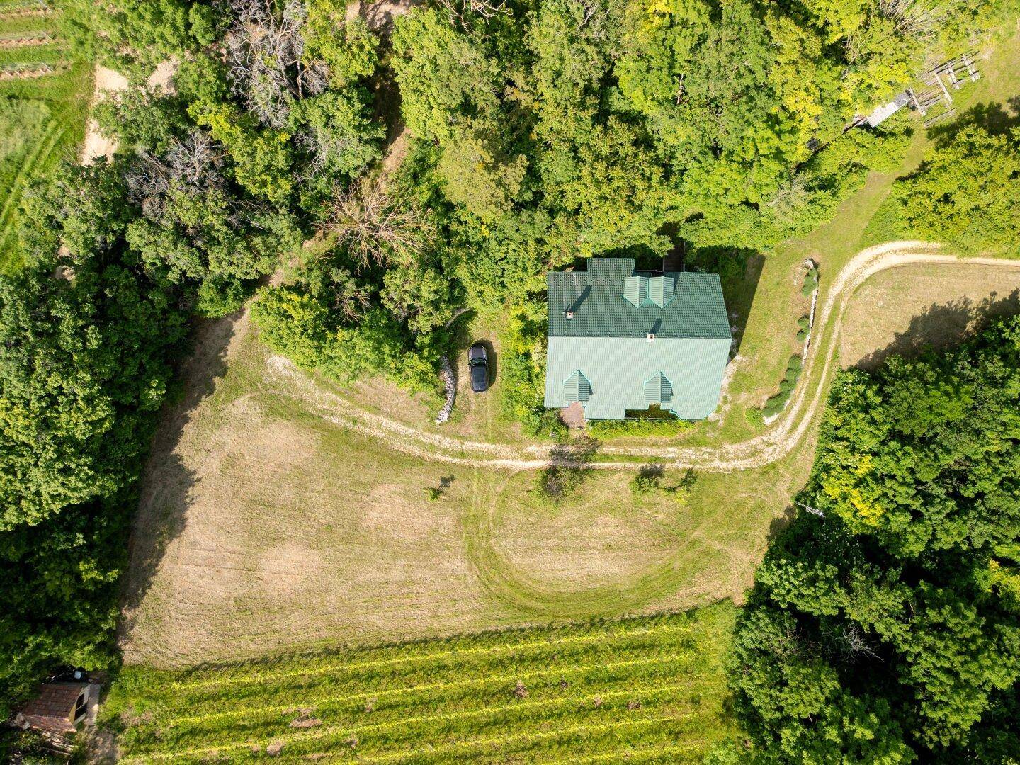 Draufsicht auf das Holzhaus mit grünem Dach, umgeben von Wald und angrenzenden Weinreben.