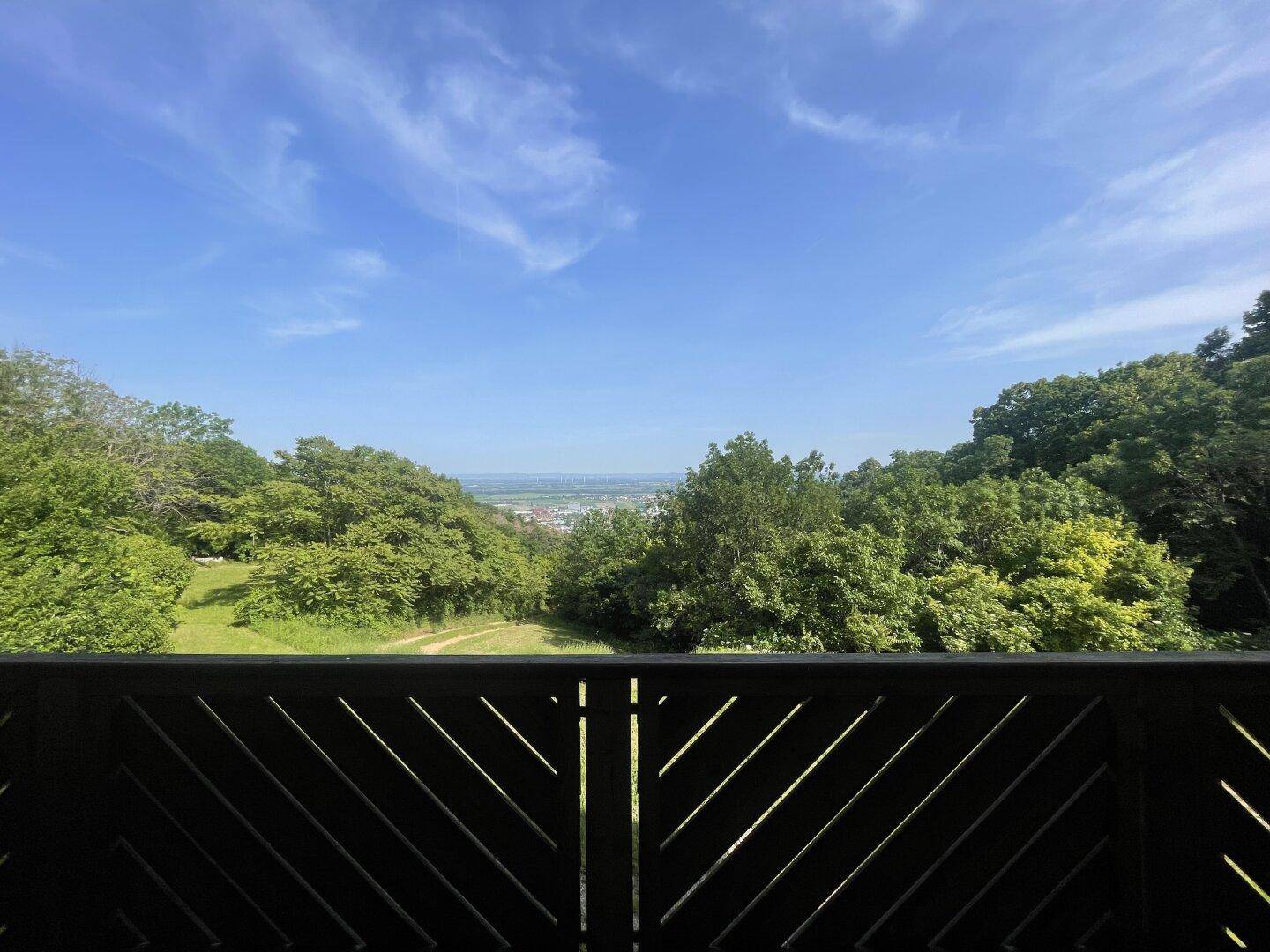 Blick vom Balkon über die grüne Hügellandschaft und eine ferne Stadt unter blauem Himmel.