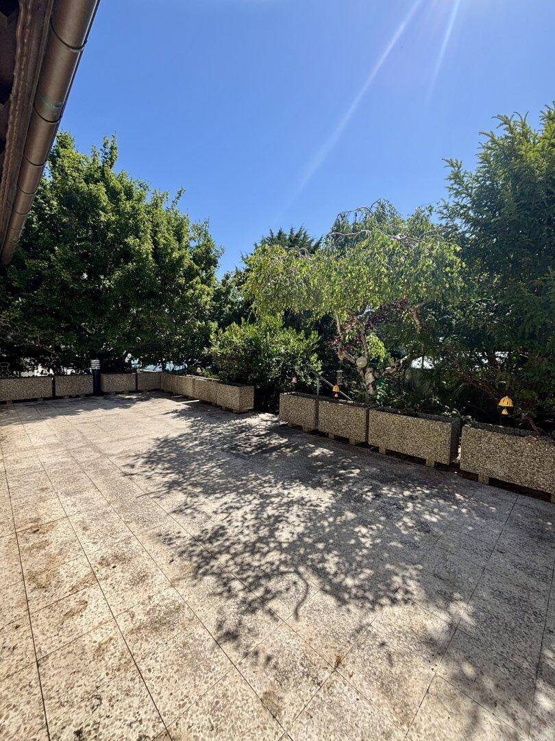 Weitläufige Terrasse mit Steinplatten und umgebenden Bäumen und Sträuchern.