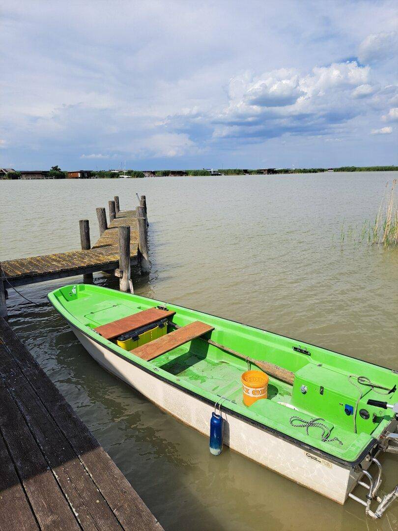 Ein grünes Boot liegt an einem rustikalen Holzsteg auf dem ruhigen See, umgeben von Schilf.