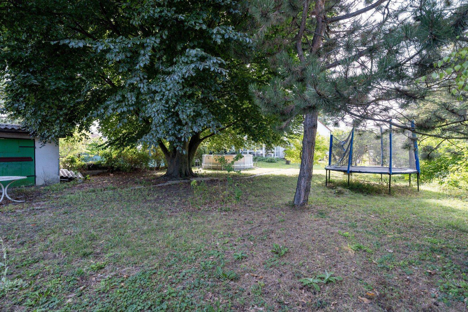 Großer Garten mit alten Bäumen, einem Trampolin und einem kleinen Geräteschuppen.