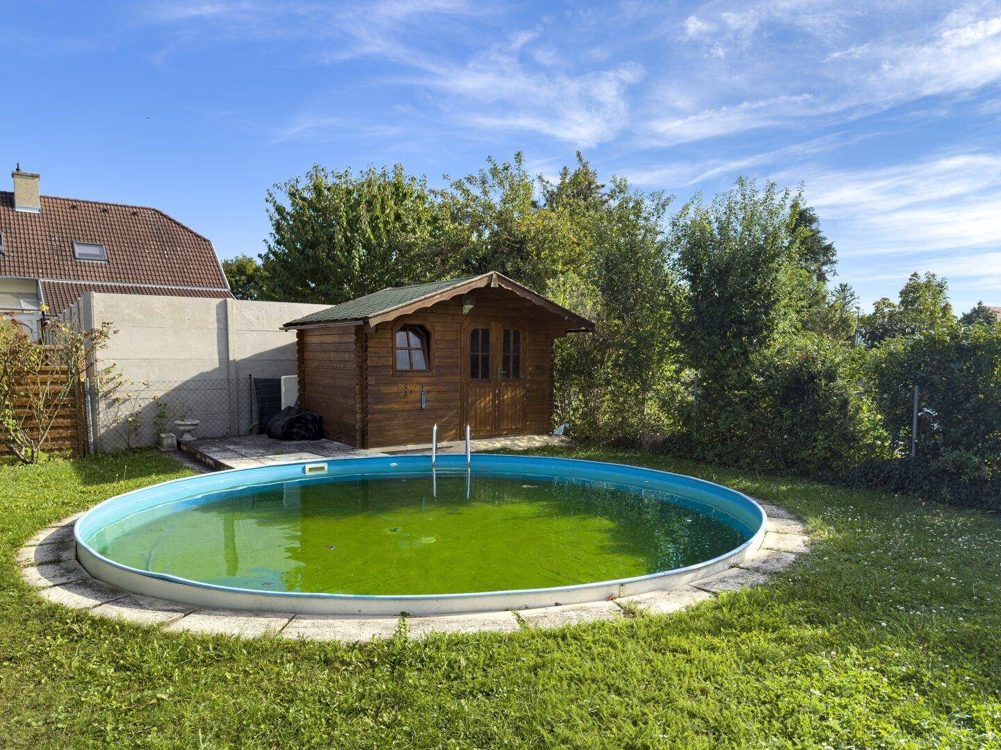 Gartenbereich mit rundem Aufstellpool und einem kleinen Holzschuppen unter blauem Himmel.