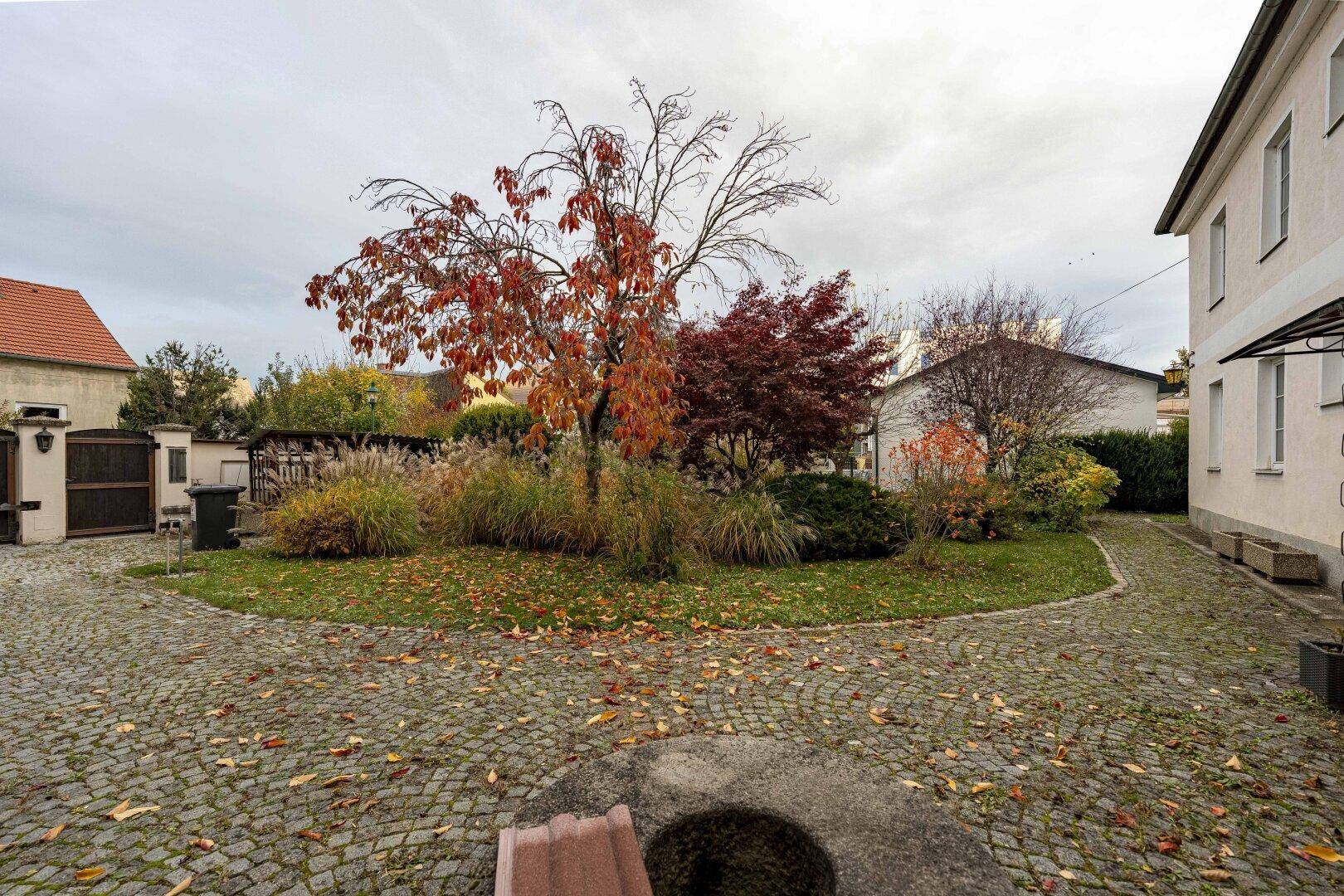 Großer Gartenbereich mit gepflastertem Weg, Herbstlaub und verschiedenen Bäumen und Sträuchern.