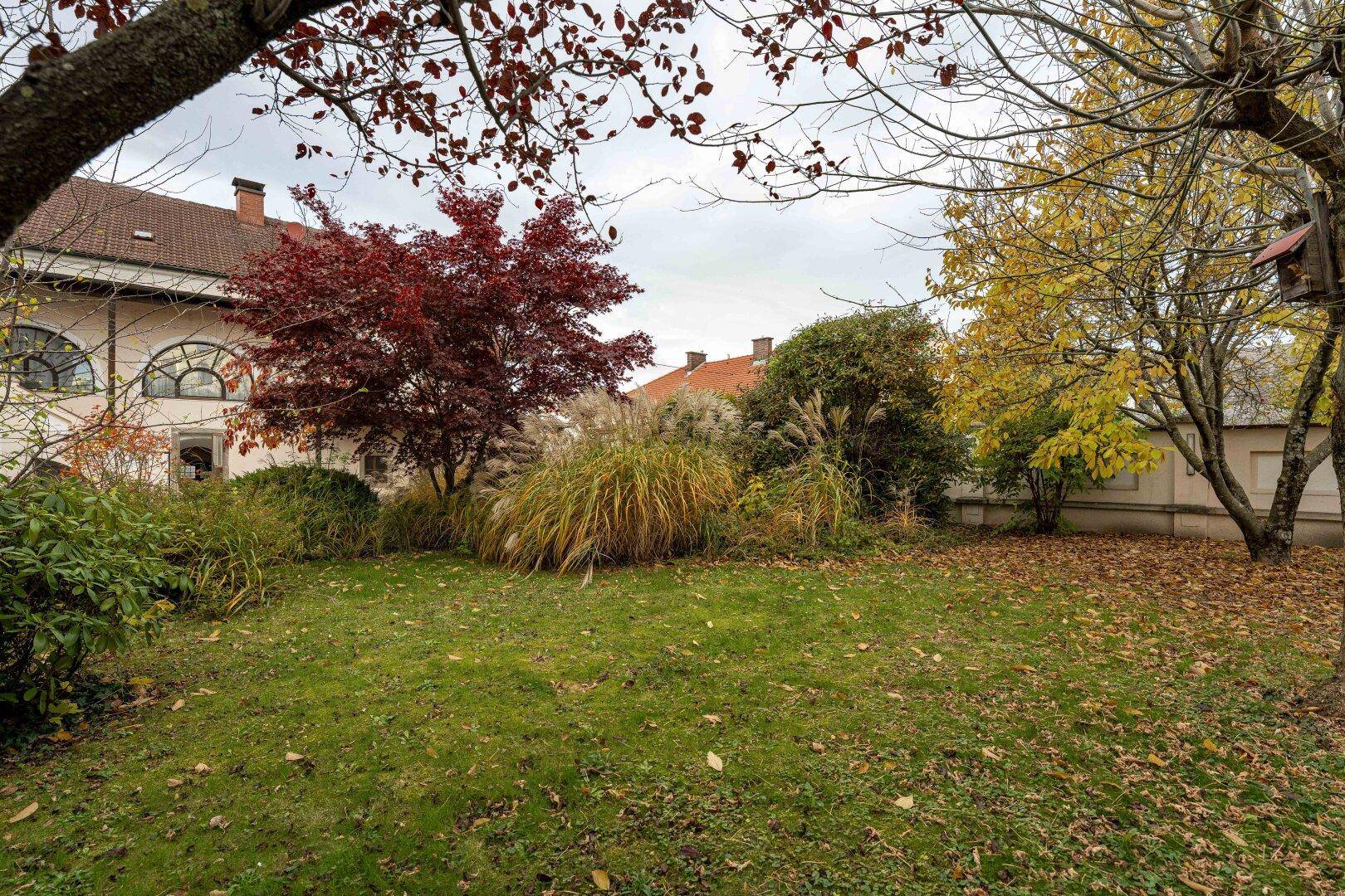 Ruhiger Gartenbereich mit Rasenfläche, bunten Herbstbäumen und üppiger Bepflanzung im Hintergrund.