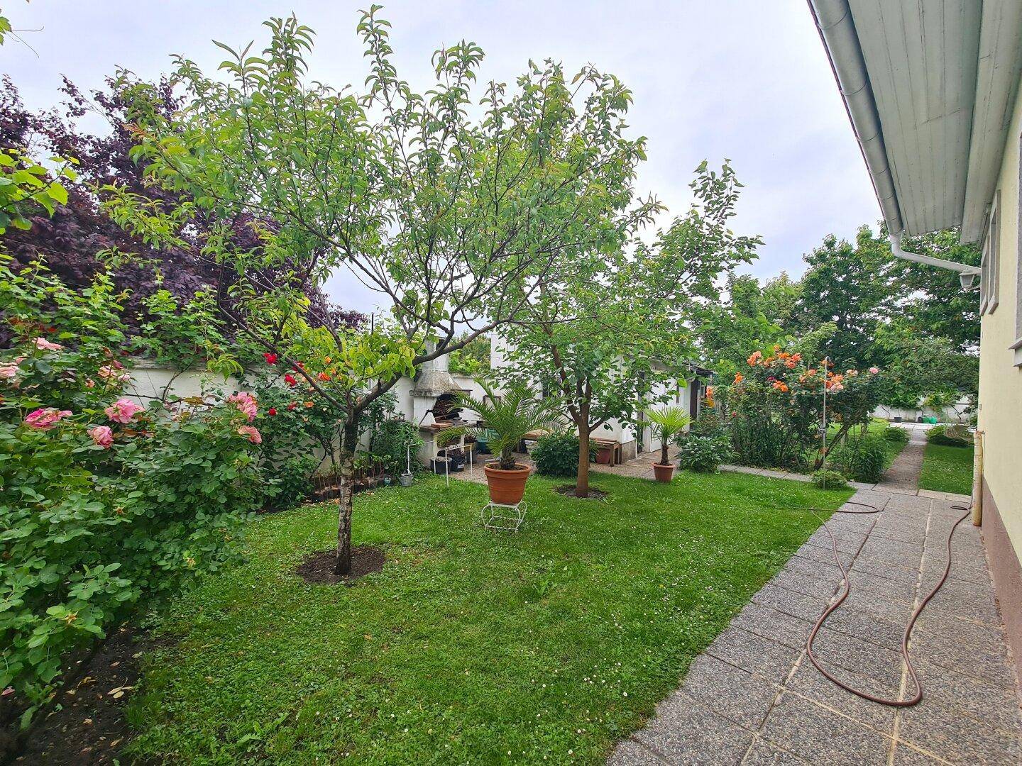 Gepflegter Garten mit Rasen, Obstbäumen und einem Grillbereich im Hintergrund.