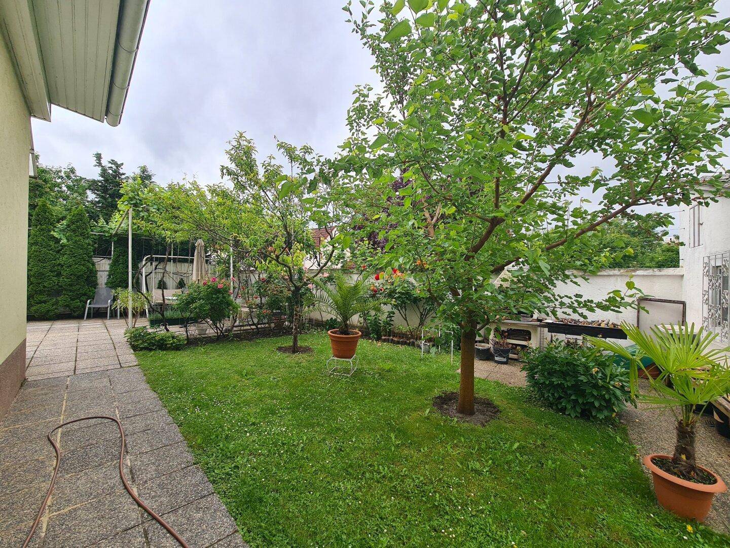 Grüner Garten mit Rasenfläche, Bäumen und einem gepflasterten Weg.