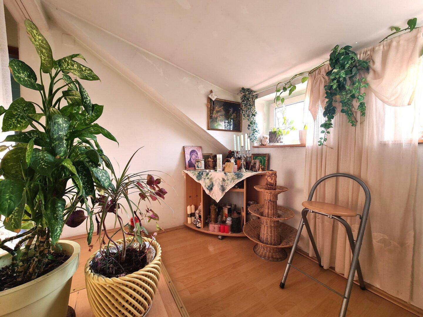 Helles Dachzimmer mit schrägen Wänden, Pflanzen und einem Fenster mit Vorhängen.