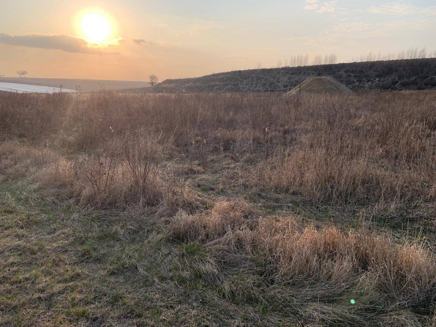 Sonnenuntergang über einem weiten Feld mit trockenem Gras und einem Erdhügel in der Ferne.