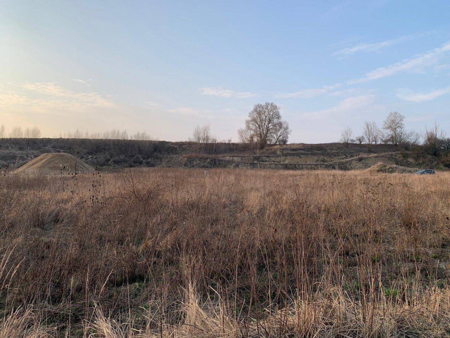 Blick über ein weites Feld mit trockenem Gras, einem Baum und Hügeln in der Ferne.