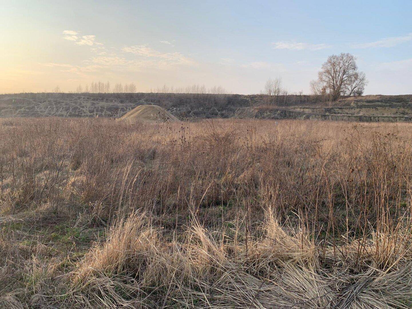 Ausgedehntes Feld mit trockenem Gras, einem einzelnen Baum und einem Erdhügel am Horizont.