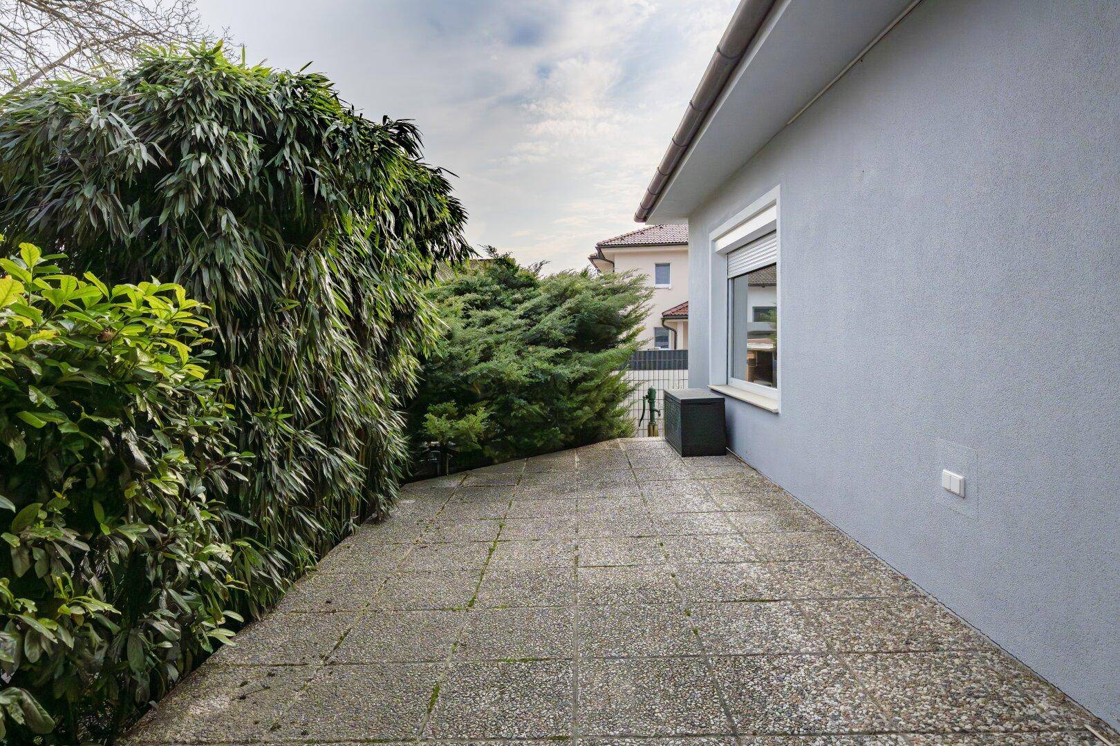 Gepflasterter Terrassenbereich neben dem Haus, umgeben von hohen Hecken und Sträuchern.