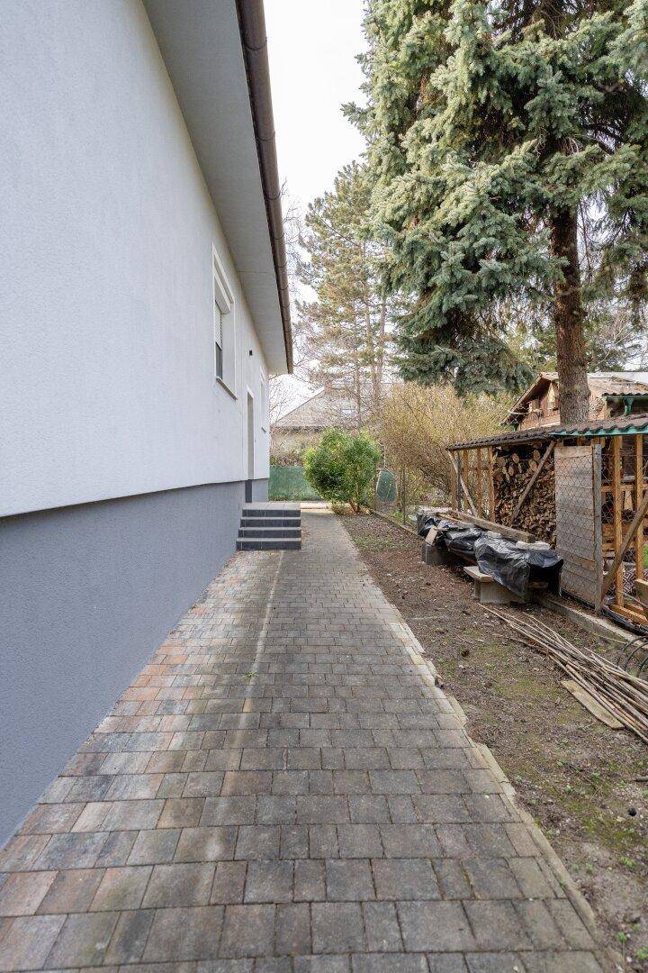 Gepflasterter Weg entlang der Hausseite, führt zu einem Holzschuppen und einem Nadelbaum.