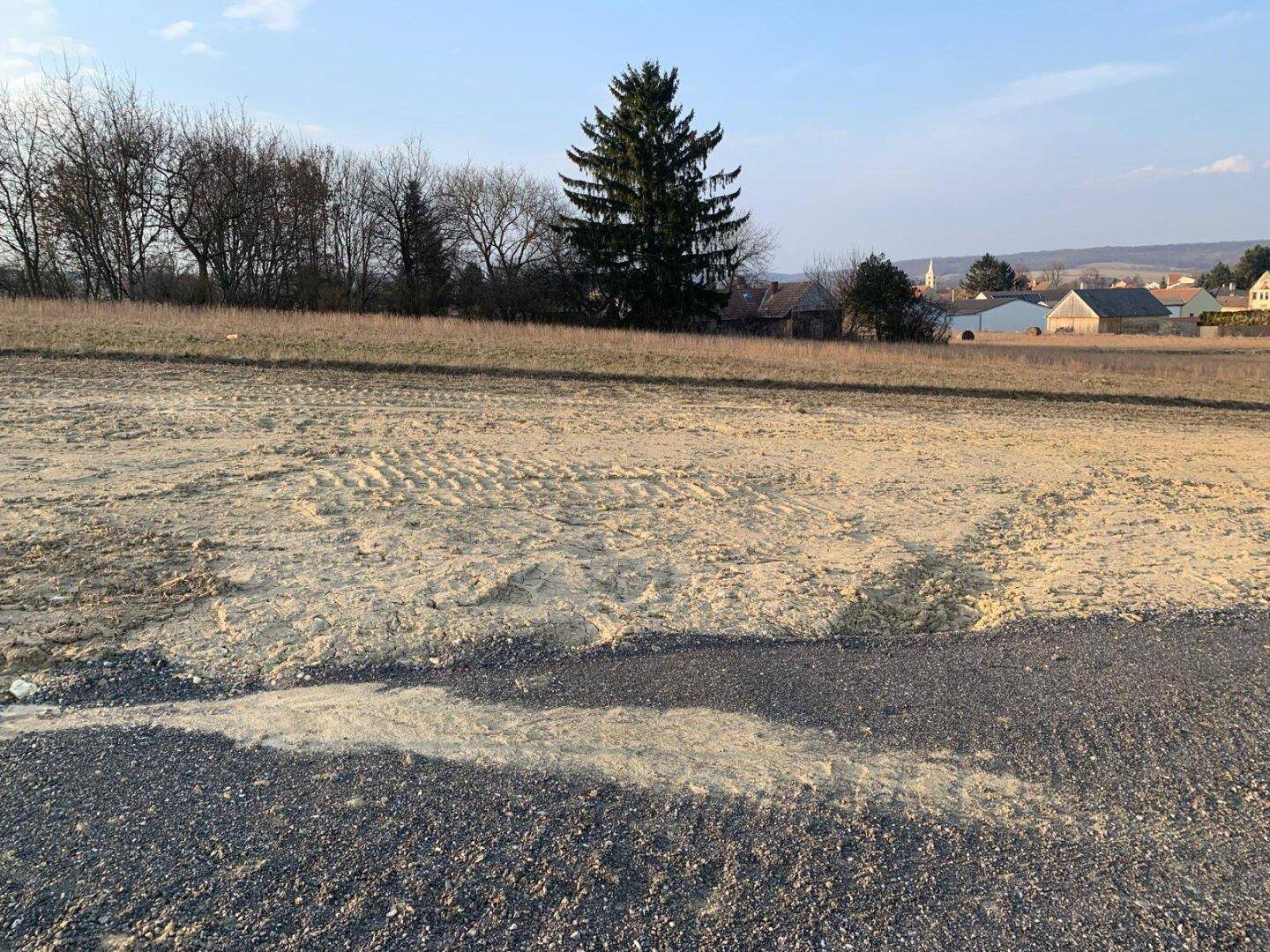 Unbebautes Grundstück mit Schotterfläche im Vordergrund und altem Baumbestand im Hintergrund.
