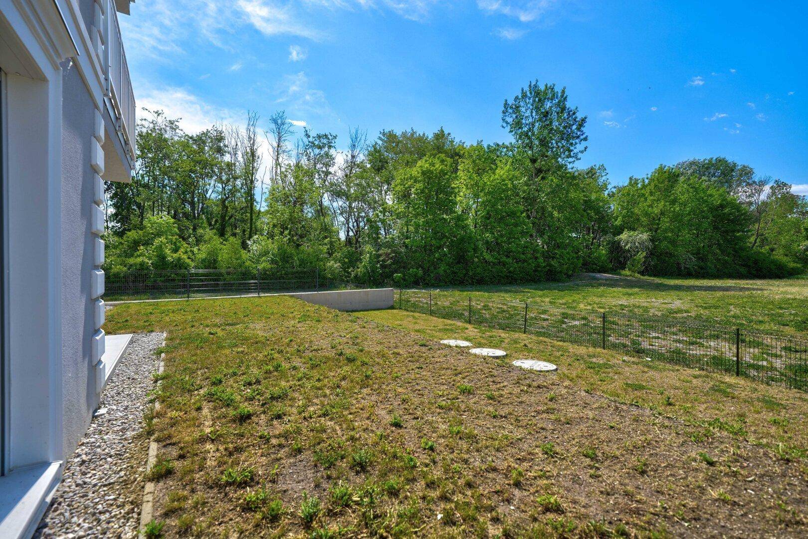 Grüne Gartenfläche hinter dem Gebäude mit Bäumen im Hintergrund und einem Zugang.