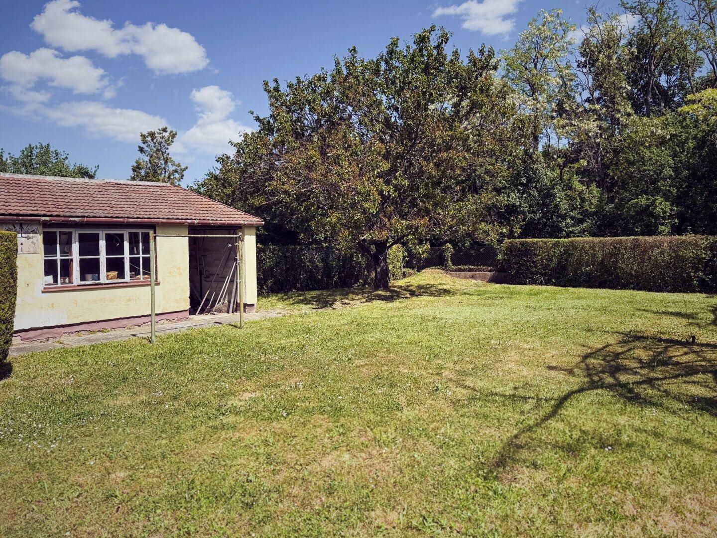 Weitläufiger Gartenbereich mit altem Baumbestand und einem Nebengebäude im Hintergrund.