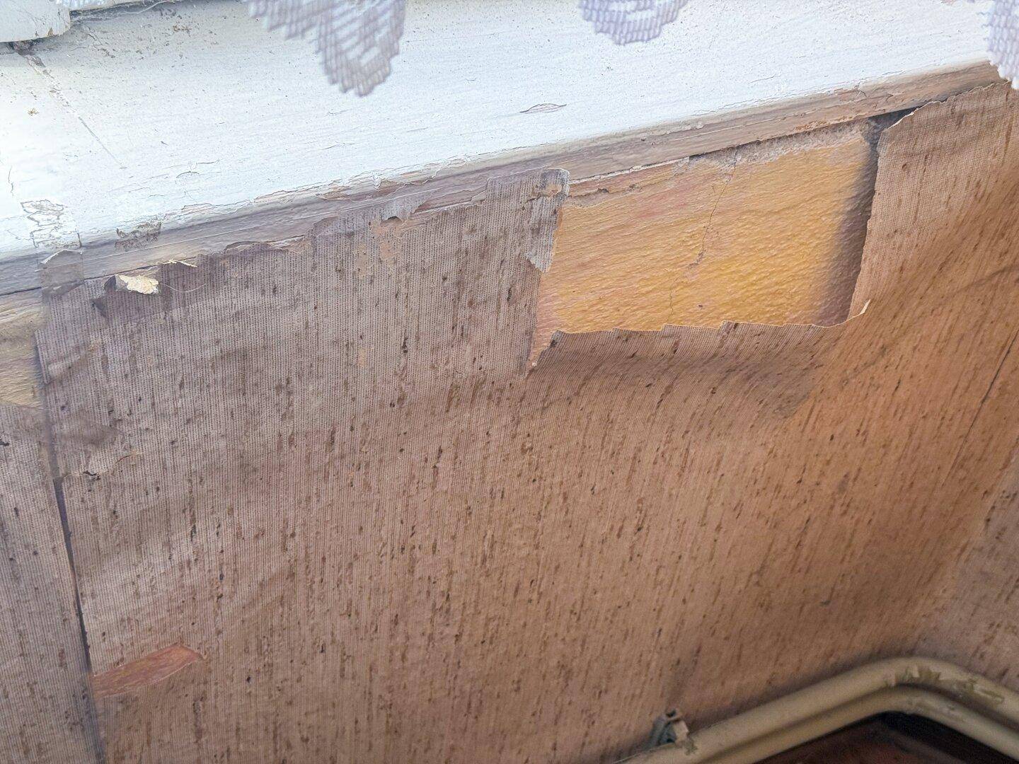 Nahaufnahme einer beschädigten Wandverkleidung, die deutlichen Renovierungsbedarf anzeigt.