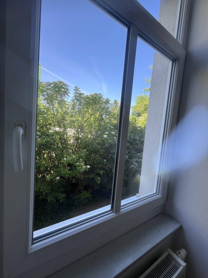 Blick aus einem Fenster auf üppiges Grün und einen blauen Himmel, der viel Tageslicht hereinlässt.