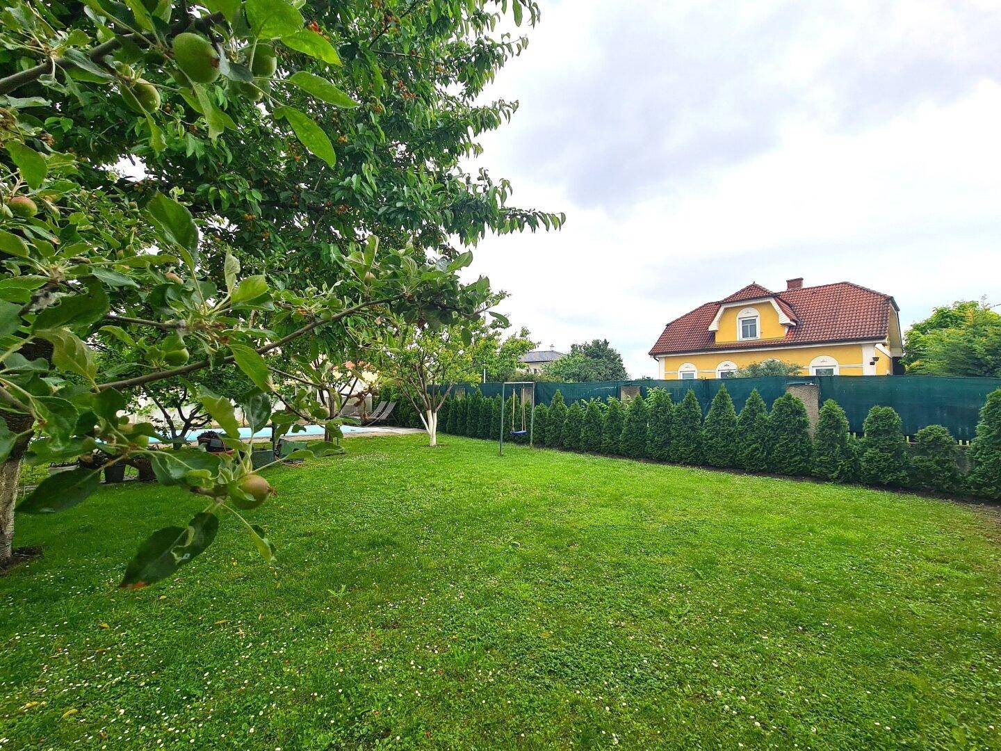 Weitläufige Rasenfläche im Garten mit Bäumen und einer grünen Hecke im Hintergrund.