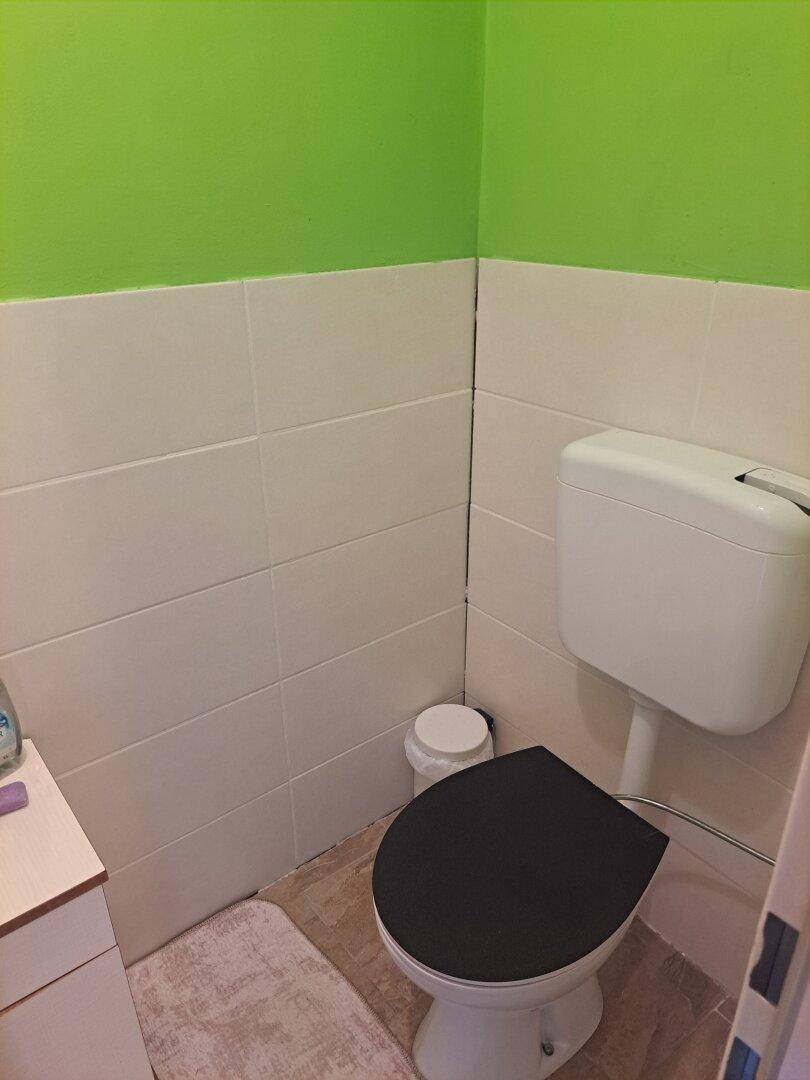 Kleines WC mit weißer Toilette und halbhohen weißen Wandfliesen, darüber grüne Wand.