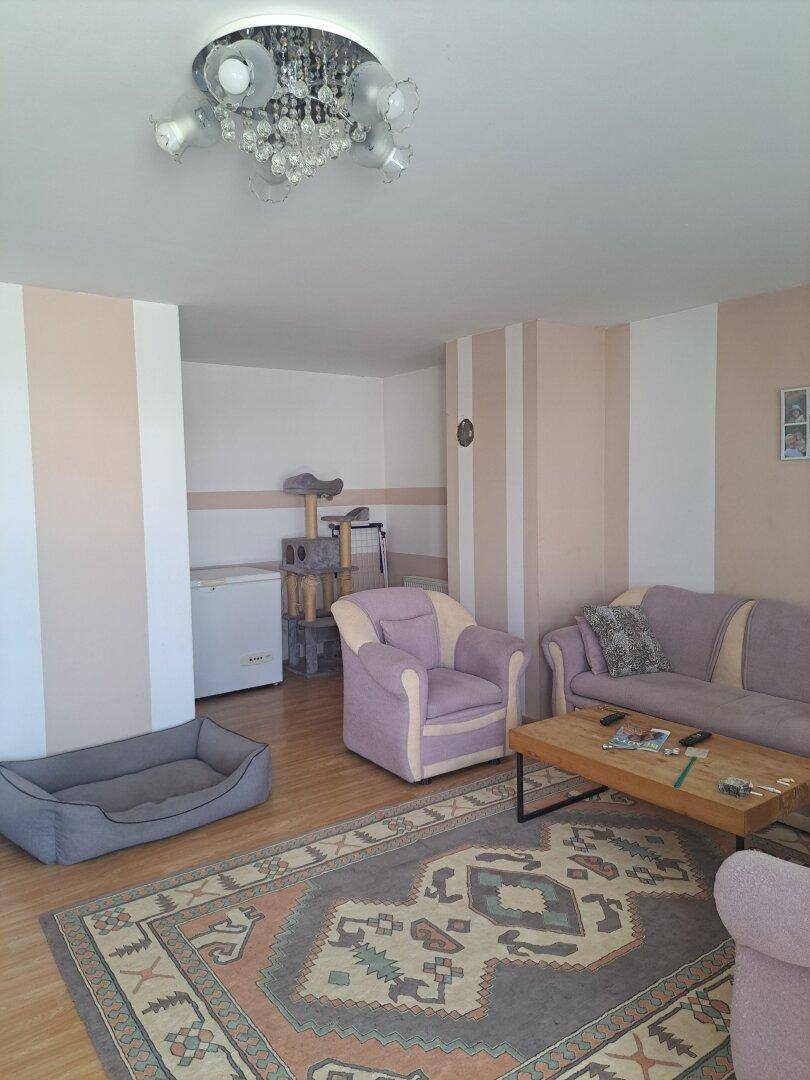 Gemütliches Wohnzimmer mit lila Sofa, Teppich und einer auffälligen Deckenleuchte.