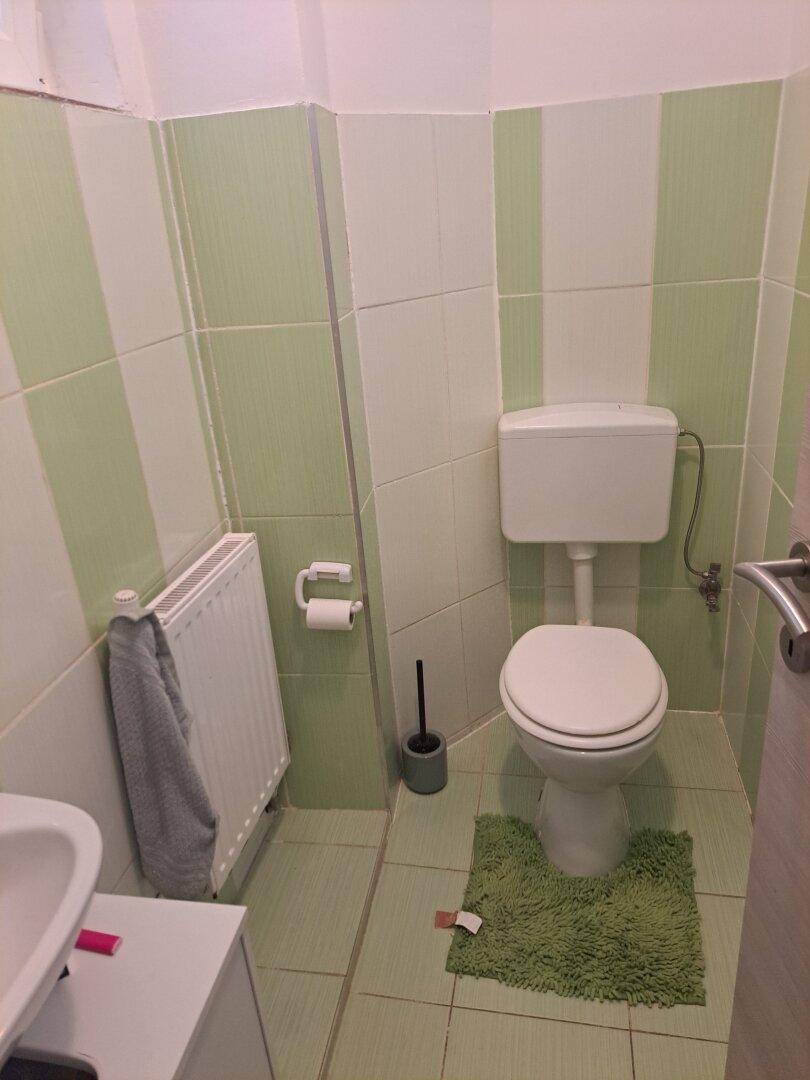 Kleines WC mit Toilette, Heizkörper und grün-weiß gestreiften Wandfliesen.